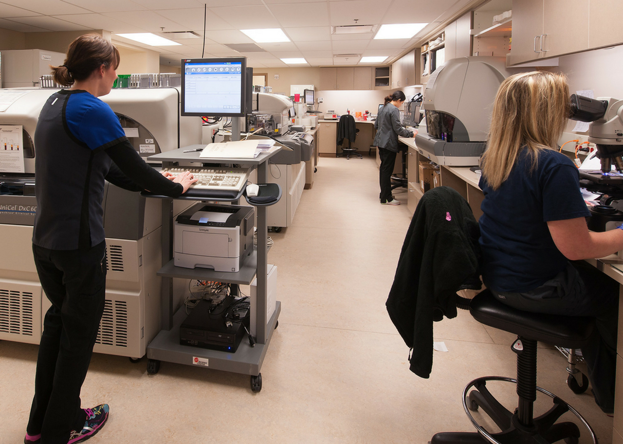Laboratory Services